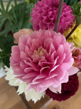 Load image into Gallery viewer, Pink Dahlia Tubers - Packs of 1 to 20