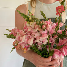 Load image into Gallery viewer, Snapdragon Bouquet - Farmer&#39;s Choice
