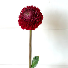 Load image into Gallery viewer, Fresh Dahlia Market Bouquet