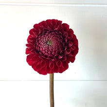 Load image into Gallery viewer, Fresh Dahlia Market Bouquet