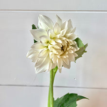 Load image into Gallery viewer, Fresh Dahlia Market Bouquet