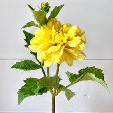 Load image into Gallery viewer, Fresh Dahlia Market Bouquet