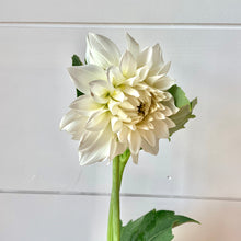 Load image into Gallery viewer, Fresh Dahlia Market Bouquet
